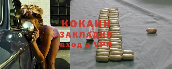 индика Богородск