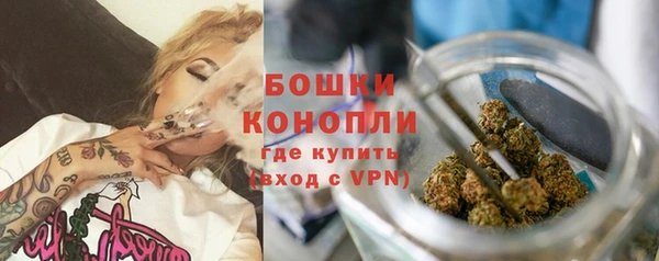 мдпв Богородицк