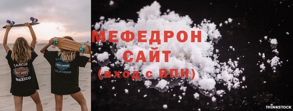индика Богородск