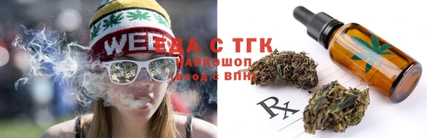 индика Богородск