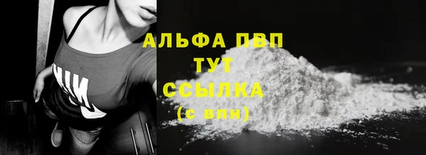 индика Богородск