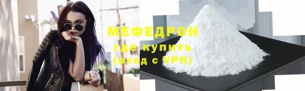 индика Богородск