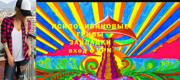 мдпв Богородицк