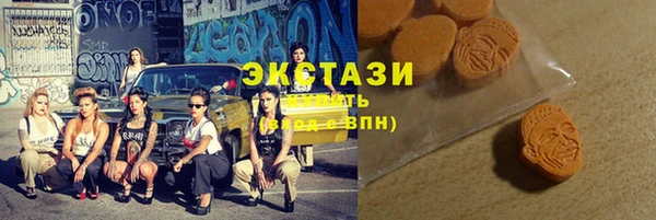 мдпв Богородицк