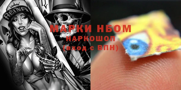индика Богородск