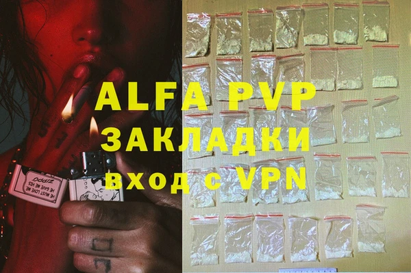 индика Богородск
