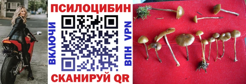 Купить закладки  Магас  Псилоцибиновые грибы MAGIC MUSHROOMS 
