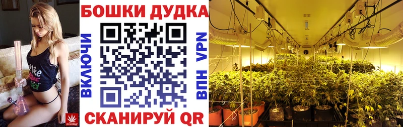 Канабис MAZAR  Купить  Магас 